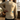 PRO Long Sleeve Jersey Eggshell - Premium cycling jersey - image 4